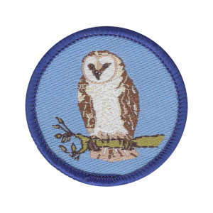 Owl-11