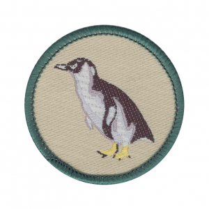 Penguin-2