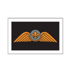 pilotwings