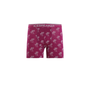 103029-Icebreaker-Mens-Anatomica-Boxers-GBerry